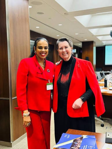 Meseret Haileyesus in a parliamentary committee room